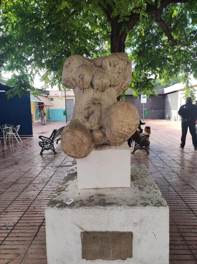 24 D-Habitacion En Piso Daire San Vicente Raspeig Dış mekan fotoğraf
